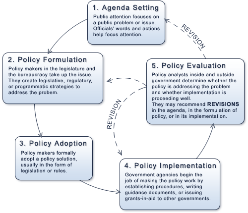 policy making essay