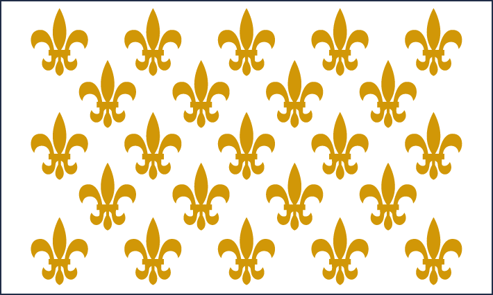 French flag.