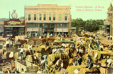Cotton Season--A Busy Day in Belton, Texas Cotton Season--A Busy Day in Belton, Texas