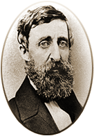 Portrait of Henry David Thoreau.