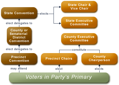 Functions Of Political Parties Chart