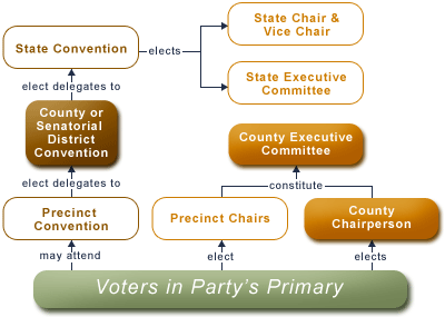 County Level Organization flow chart