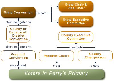 State Level Organization flow chart