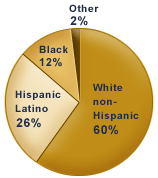 1990 Demographics chart