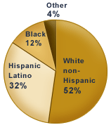 2000 Demographics chart